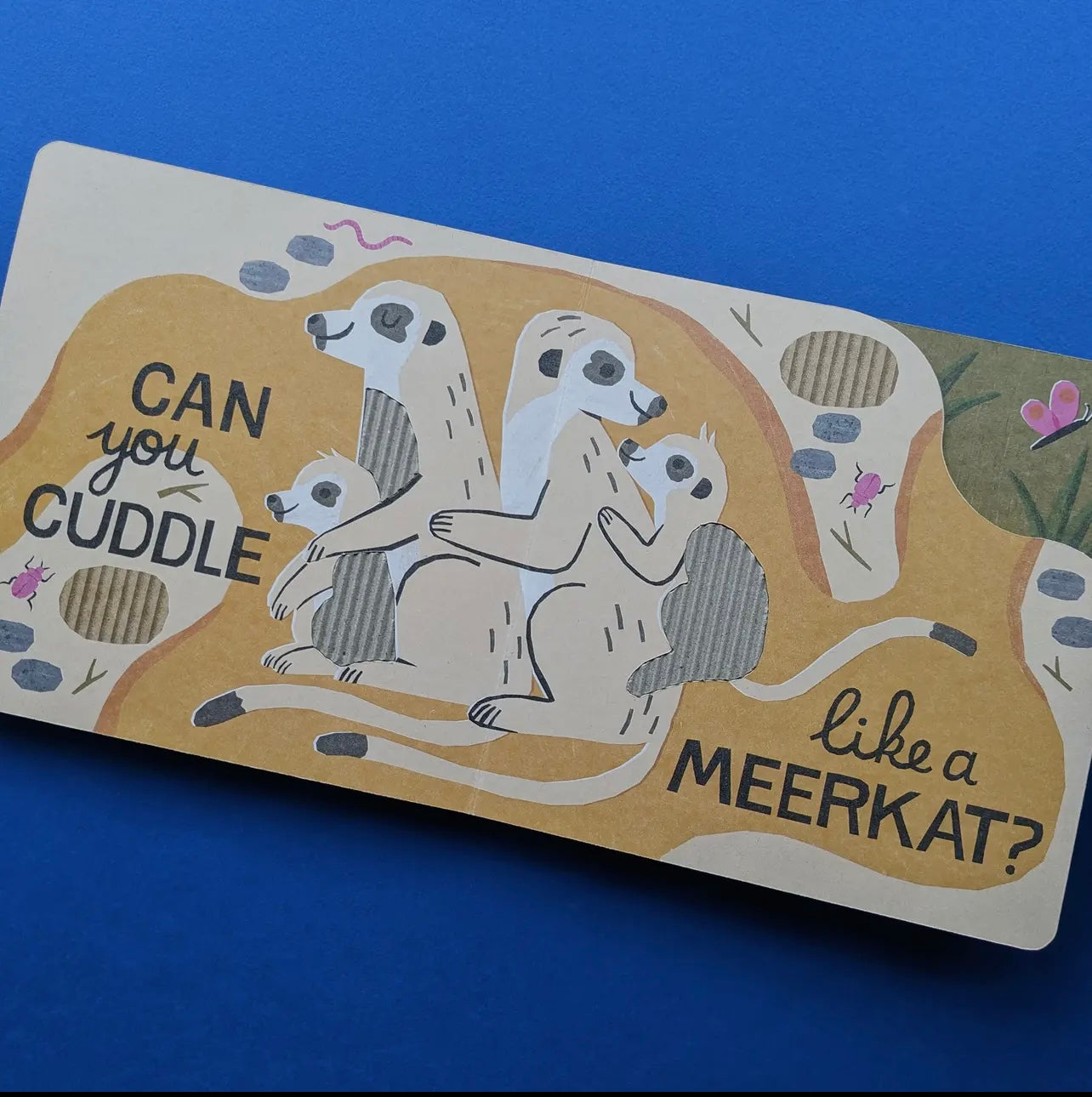 Eco Cased Books - Safari