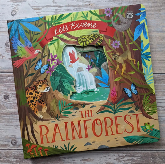 Let’s Explore The Rainforest!