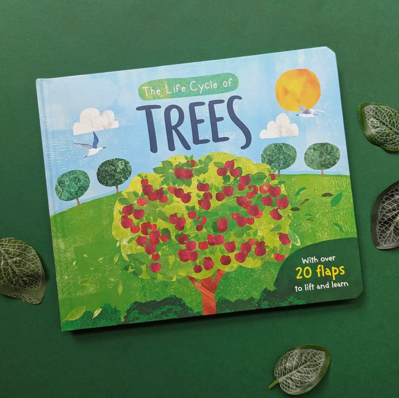 The Life Cycle of Trees