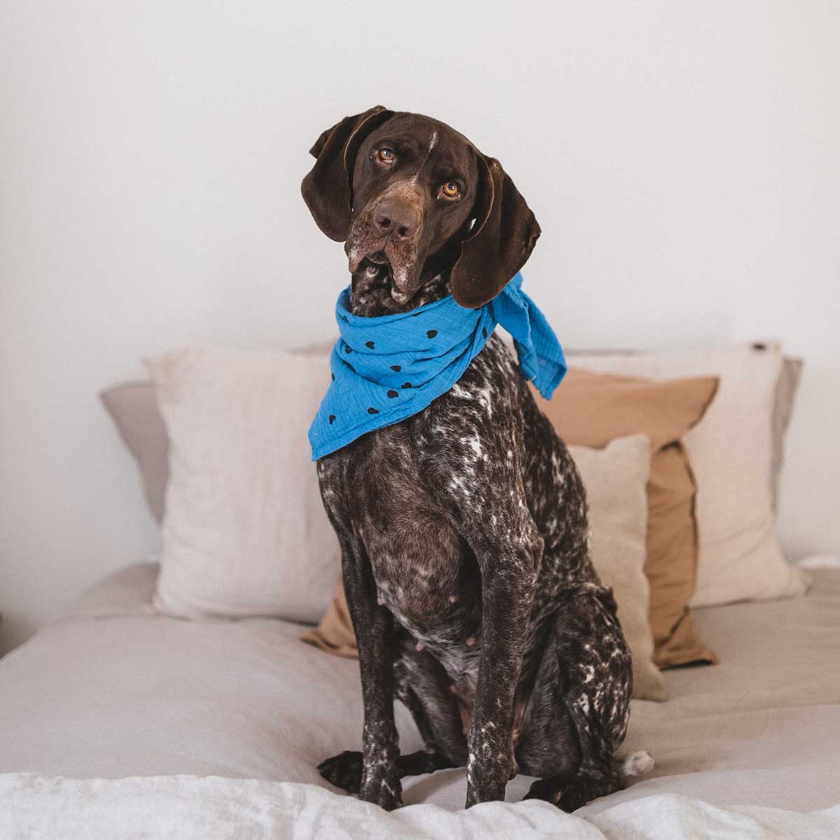 Muslin - Blue Hearts