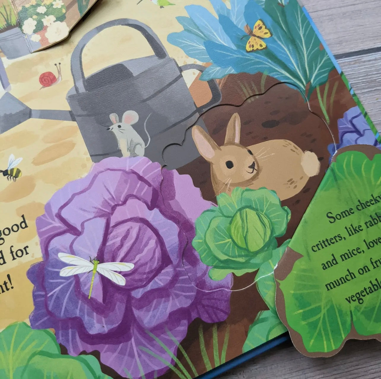 Let’s Explore The Garden!