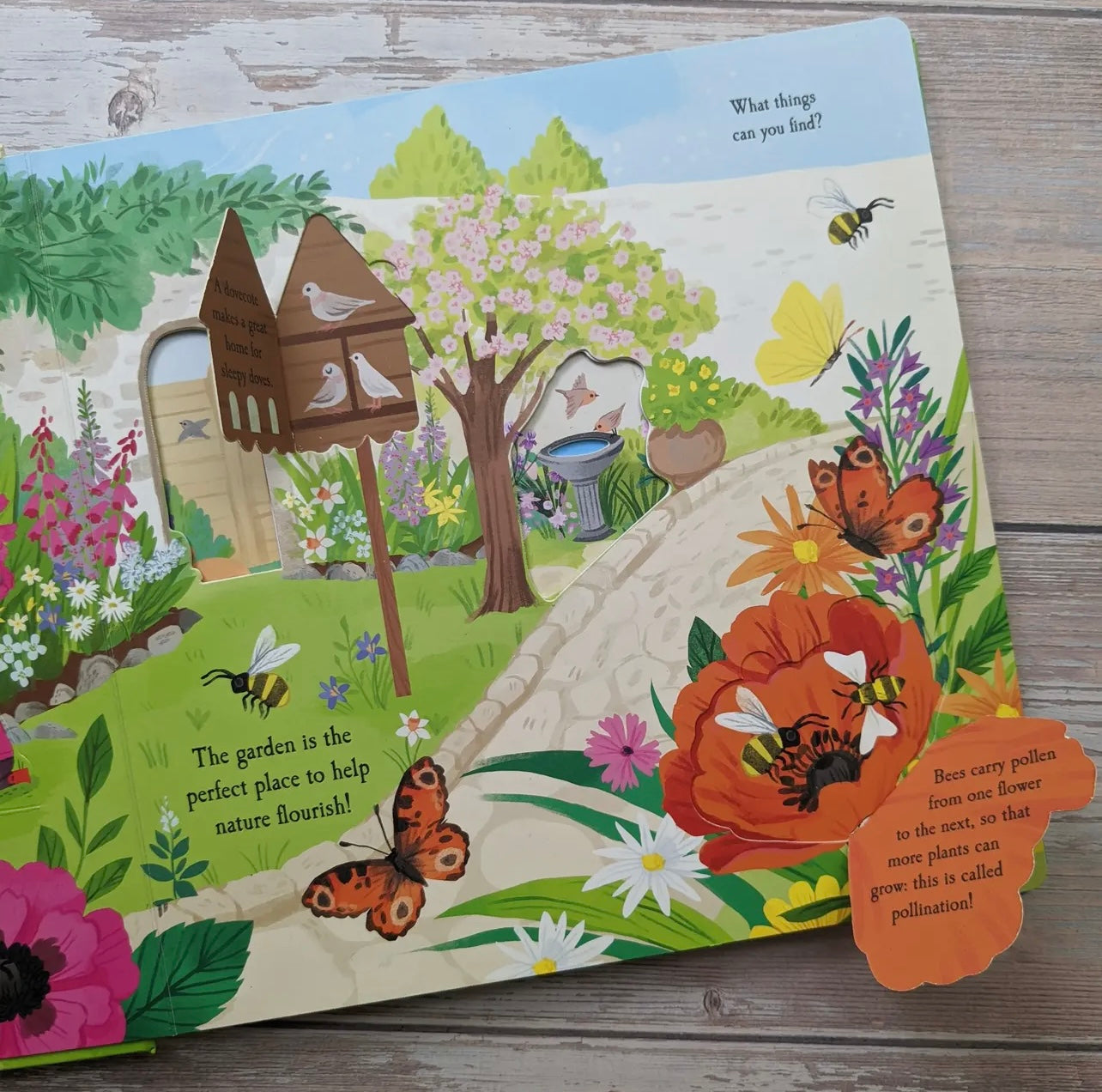 Let’s Explore The Garden!