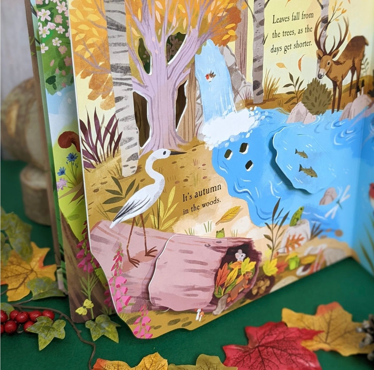 Let’s explore The Woods!