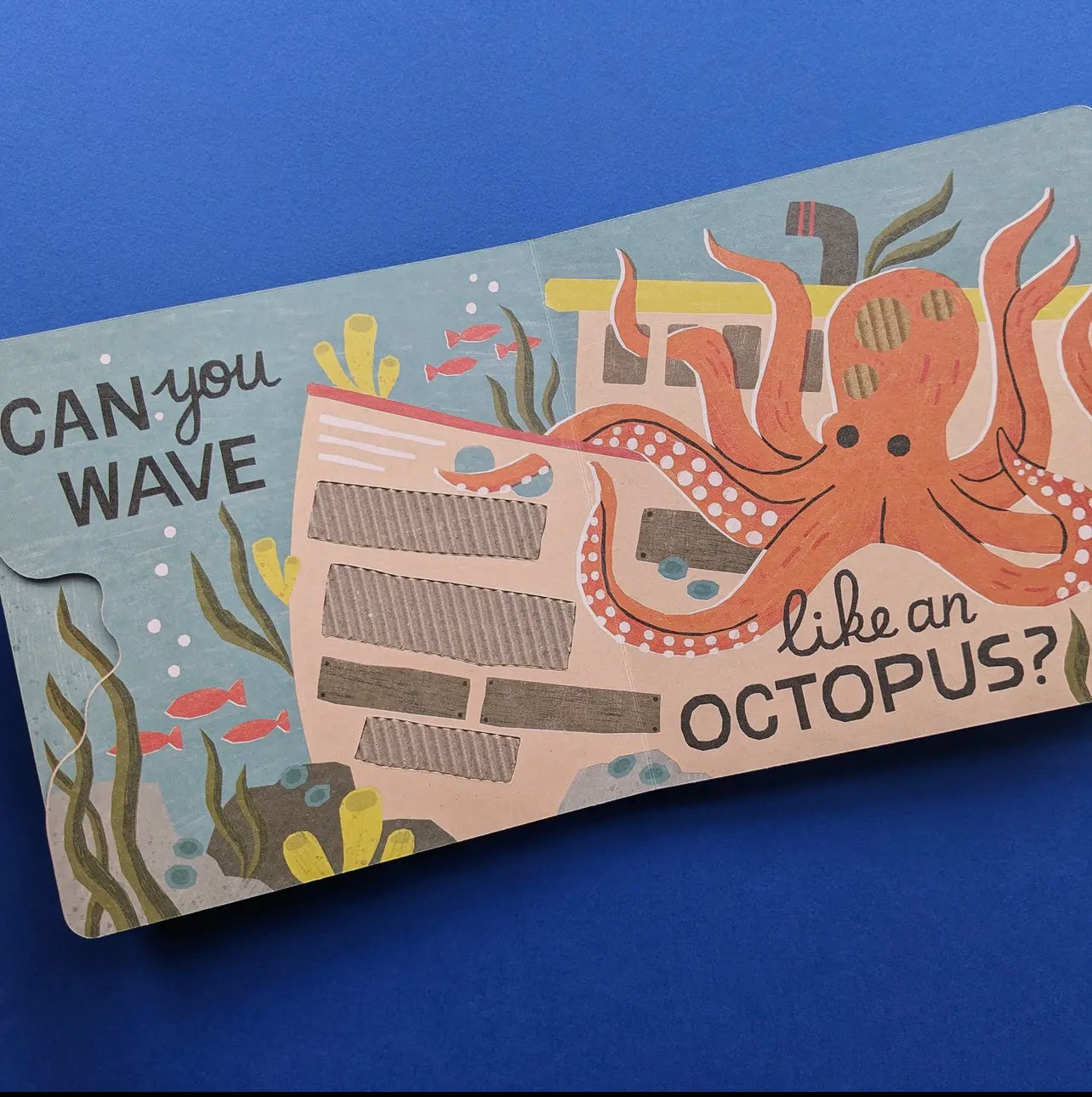 Eco Cased Book - The Ocean