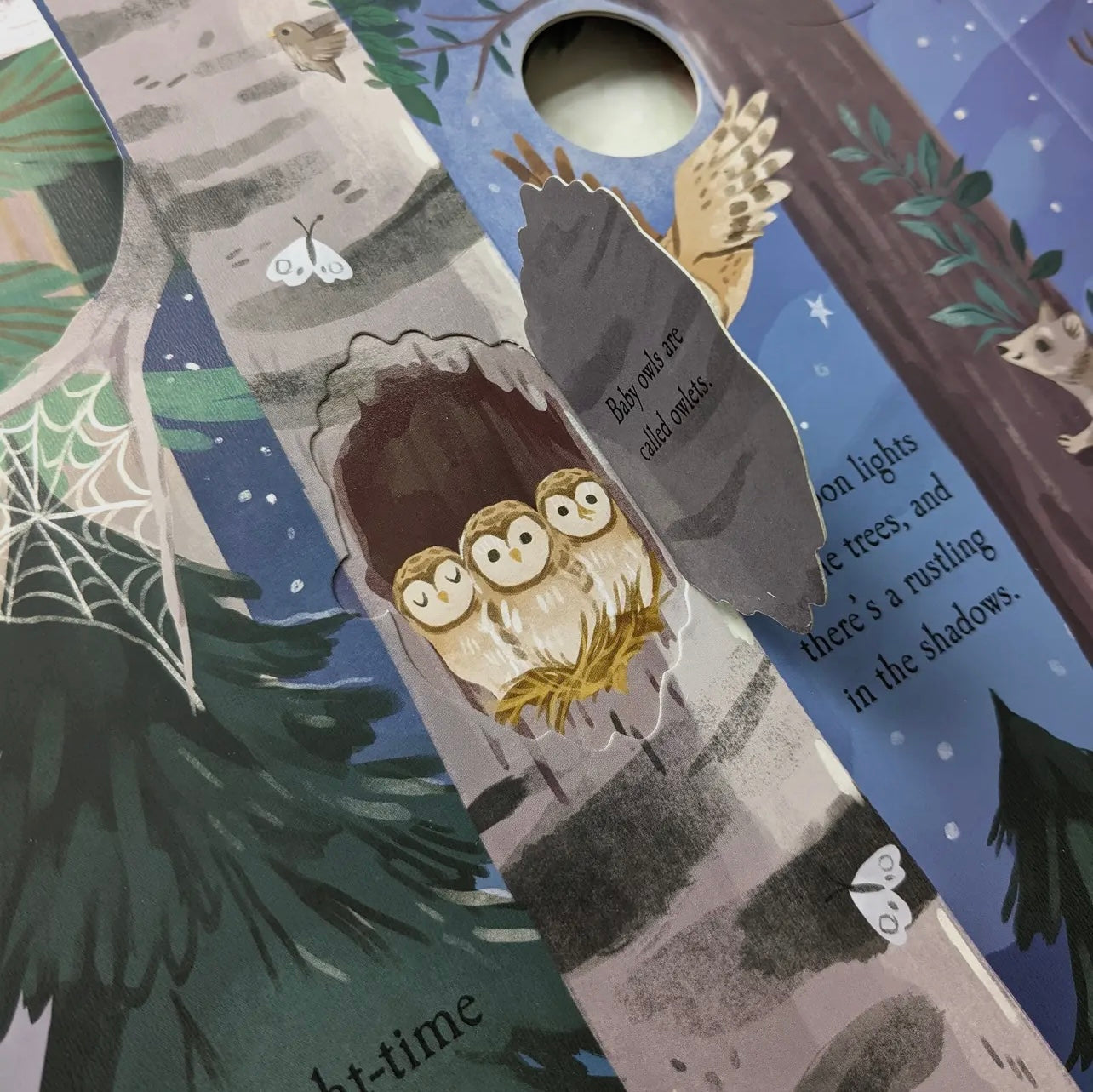 Let’s explore The Woods!