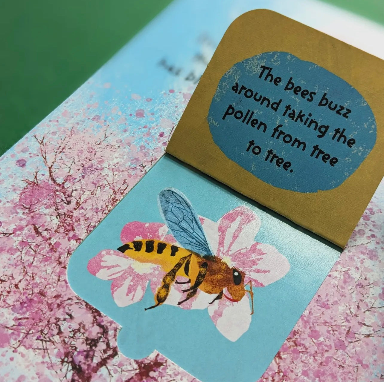 The Life Cycle of Trees