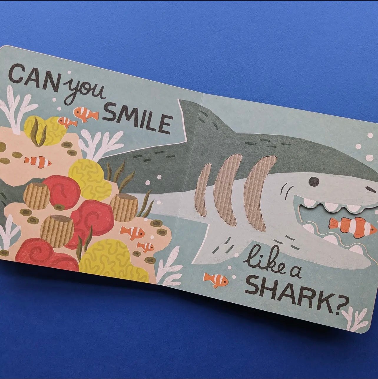 Eco Cased Book - The Ocean