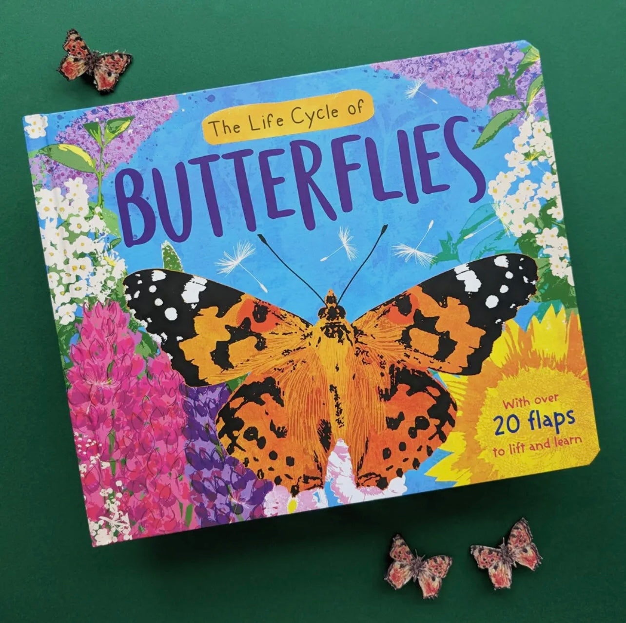 The Life Cycle of Butterflies