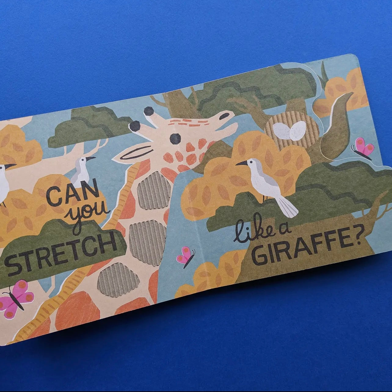 Eco Cased Books - Safari