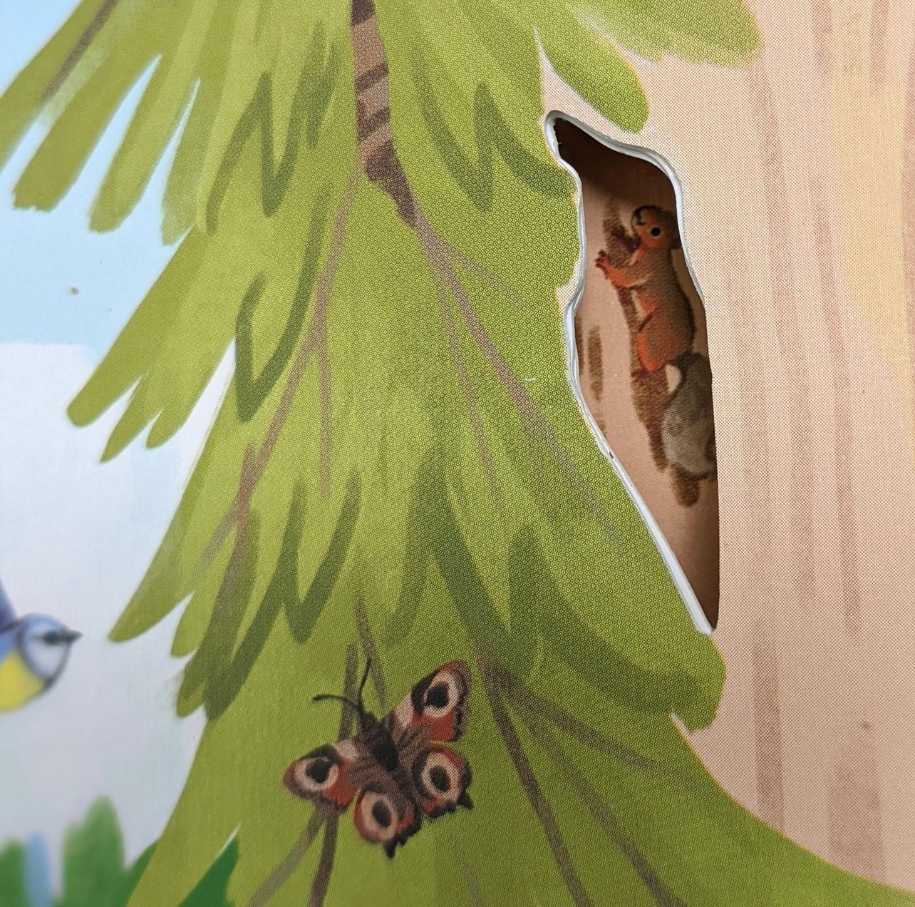 Let’s explore The Woods!