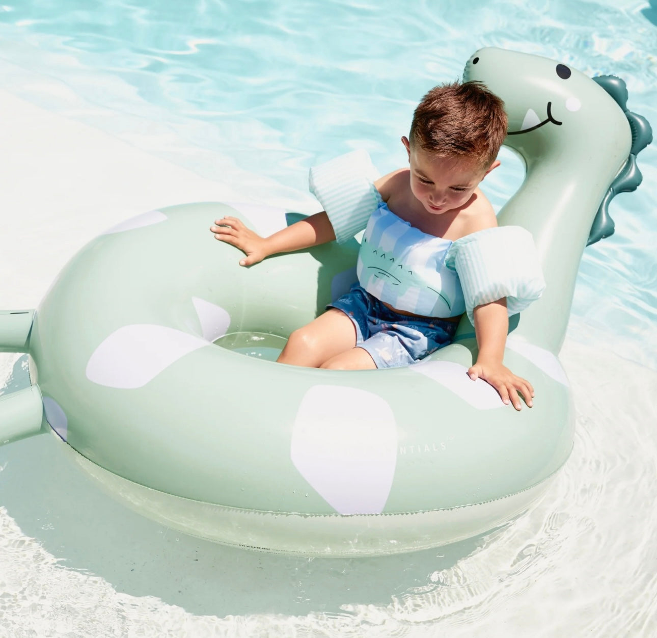 Swim Ring- Dino
