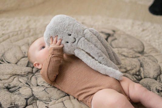 Olly Octopus the Heartbeat Comforter